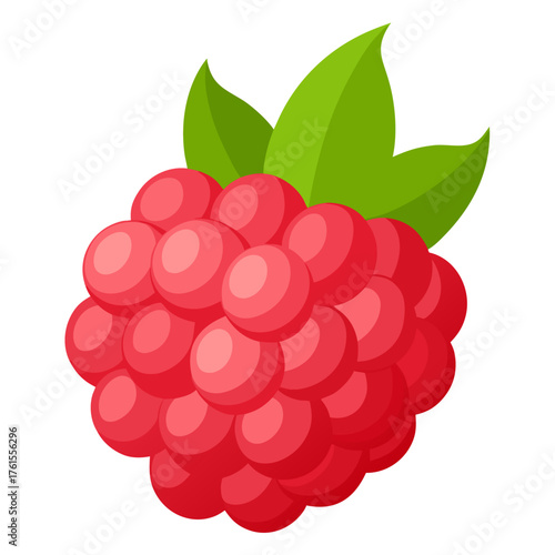  Whole pink raspberry. Isolated vector illustration on white background
