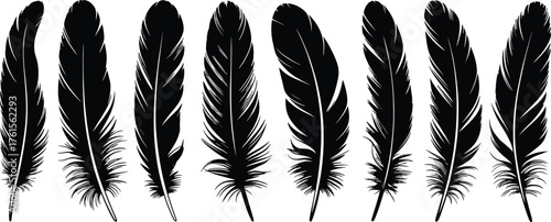 Feather silhouettes, bird feather vector, quill illustration, black feather clipart, nature design element, decorative feather art, vintage feather 