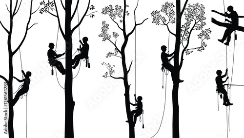 Tree climber silhouettes, arborist at work, tree climbing vector, forest workers illustration, rope climbing art, arboriculture safety concept, nature maintenance design
