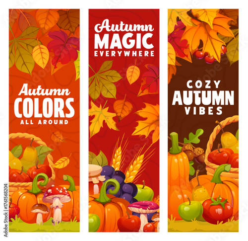 Autumn seasonal harvest banners with pumpkins, fall leaves, mushrooms, fruits and wheat ears, apples, grapes, acorns and berries. Autumn season vector banners with quotes and fall harvest in foliage
