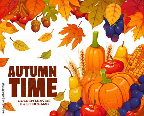 Autumn time vector poster with seasonal harvest of orange pumpkins, red apples, yellow pears, corn cob and purple grapes. Fall autumn leaves, acorns, berries and branches for autumnal quote poster
