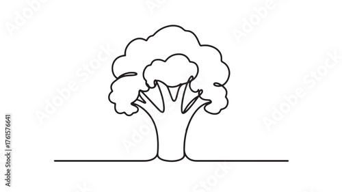 Simple, clean line drawing of a broccoli head on a white background