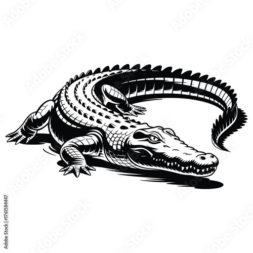silhouette of a crocodile