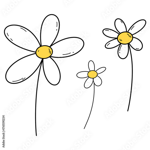 Daisy