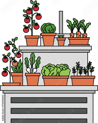 Urban balcony garden with potted tomato plants, lettuce, spinach, herbs, and vegetables growing on shelves in sustainable home gardening illustration
