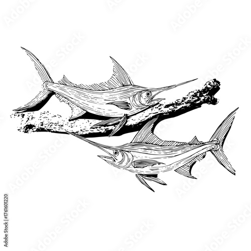 Two detailed swordfish swimming near a dark textured object in a monochrome illustration style image
