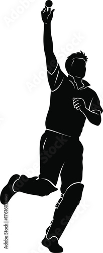 Silhouette of a cricket player in action catching a ball