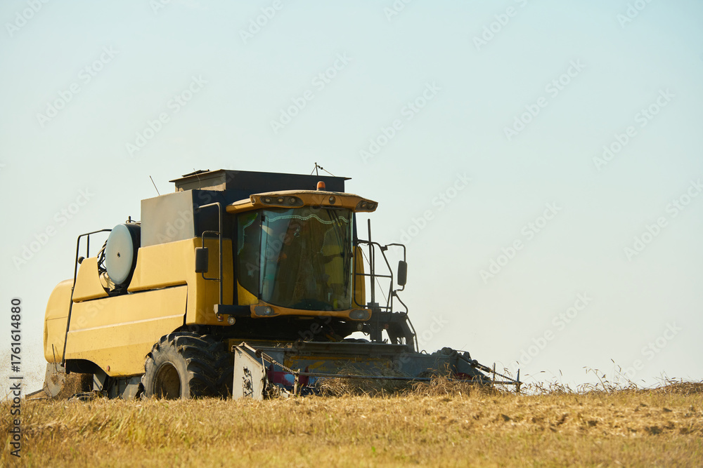 Fototapeta premium Yellow combine harvester operating in field during harvest season, large agricultural machine moving through dry grass under clear sky, rural farming equipment in action
