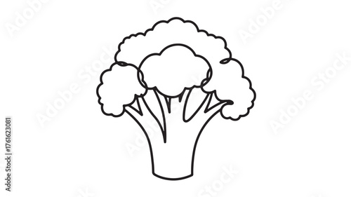 Simple line drawing of a fresh broccoli head on a white background