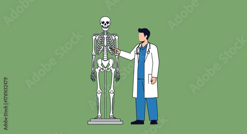Doctor Examining Skeleton Model for Medical Study and Diagnosis.
