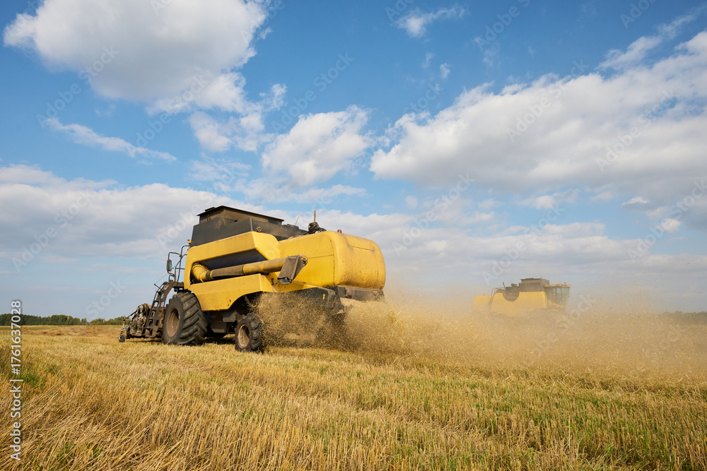 Obraz premium Large yellow combine harvester operating in wheat field during harvest season, rear view showing machinery moving through golden crops under blue sky with scattered clouds