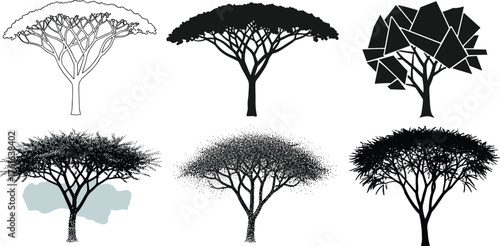 Acacia tree silhouette vector collection, African savanna tree design, desert landscape illustration, natural plant shapes, isolated flat trees