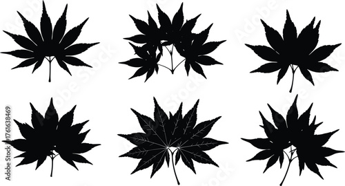 Black maple leaf silhouette collection, autumn leaf vector set, botanical nature illustration, detailed leaf design, realistic foliage shape, natural forest element