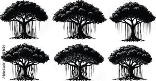 Black silhouette banyan tree collection, hanging root tree vector set, tropical forest illustration, sacred fig botanical design