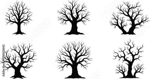 Black silhouette leafless tree collection, winter dry tree vector set, spooky forest illustration