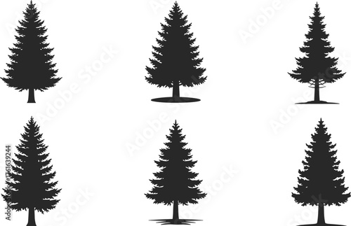 Set of pine tree silhouettes isolated on white background, conifer forest vector illustration, evergreen nature design
