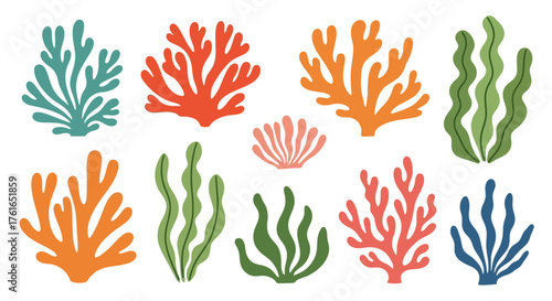 Colorful Seaweed and Coral Collection - Underwater Plant Life.