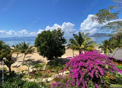 A stunning view of the beach and turquoise ocean from Nosy Komba island, Madagascar. White sandy shores stretch along the coastline under bright sunlight, surrounded by serene tropical scenery, perfec