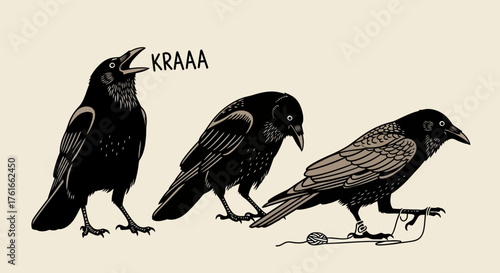 A trio of crows, one calling out, another looking down, and the last one manipulating a small object
