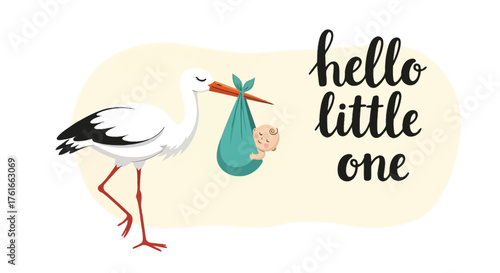 A stork carries a baby in a bundle with the words 'Hello Little One'