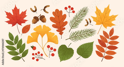 Collection of Autumn Leaves and Forest Elements Illustration