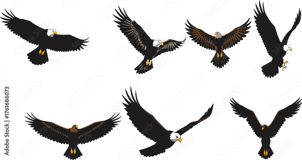 Fototapeta premium Bald eagle icon set, flying and diving poses with white head, yellow beak, dark wings, wildlife, nature, predator, vector design, grid