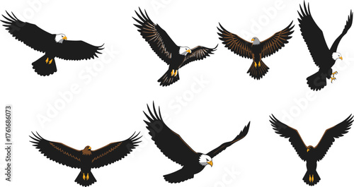 Bald eagle icon set, flying and diving poses with white head, yellow beak, dark wings, wildlife, nature, predator, vector design, grid