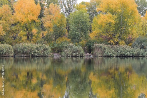 Behang Autumn landscape with lake, trees and colorful leaves in the park in October