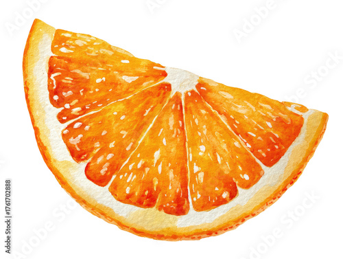 A watercolor depiction of an orange slice, showing juicy segments with fine detail, on a black background