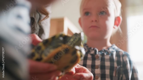 Close up of tortoise being gently held by adult hand while child observes with curiosity, creating learning moment about animal life, nature awareness, and education in classroom environment
