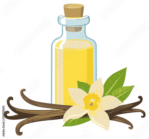 Vanilla extract bottle with flower and bean pods illustration for culinary and spa themes