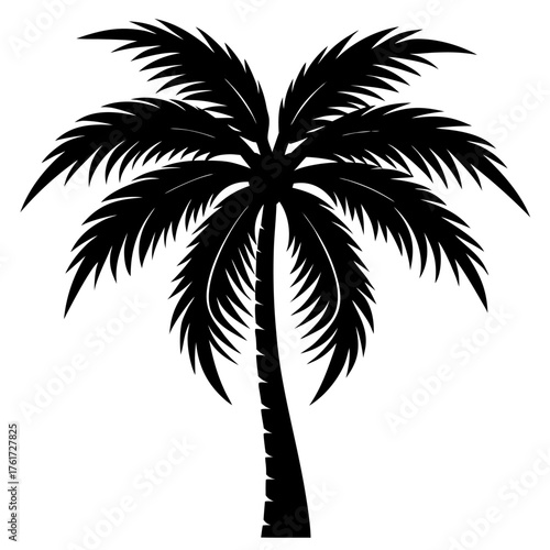 Silhouette of Coconut tree on white background