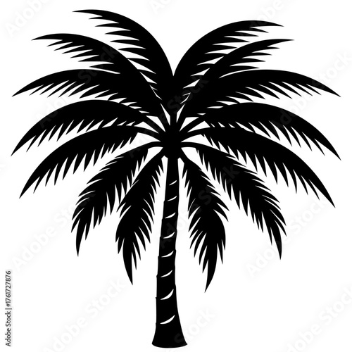 silhouette of palm tree