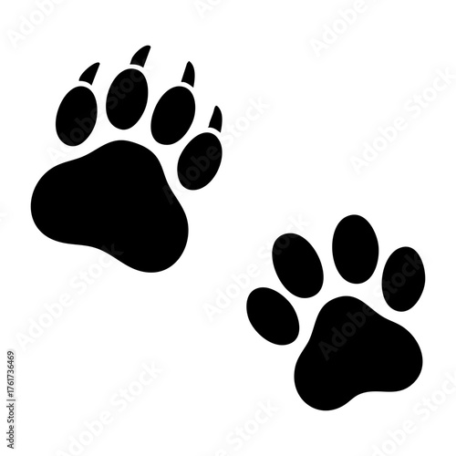paw prints vector