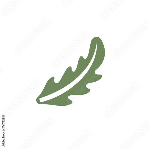 An EPS format illustration, A Simple 2D Eruca sativa leaf illustration isolated on a white background, vector, simple flat 2D icon, minimalist design, vegetables collection