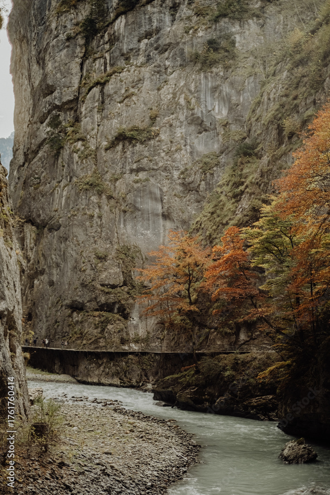 Fototapeta premium Aareschlucht, Schweiz, Herbst, Schlucht, Alpen, Berner Oberland, Fluss, Wasser