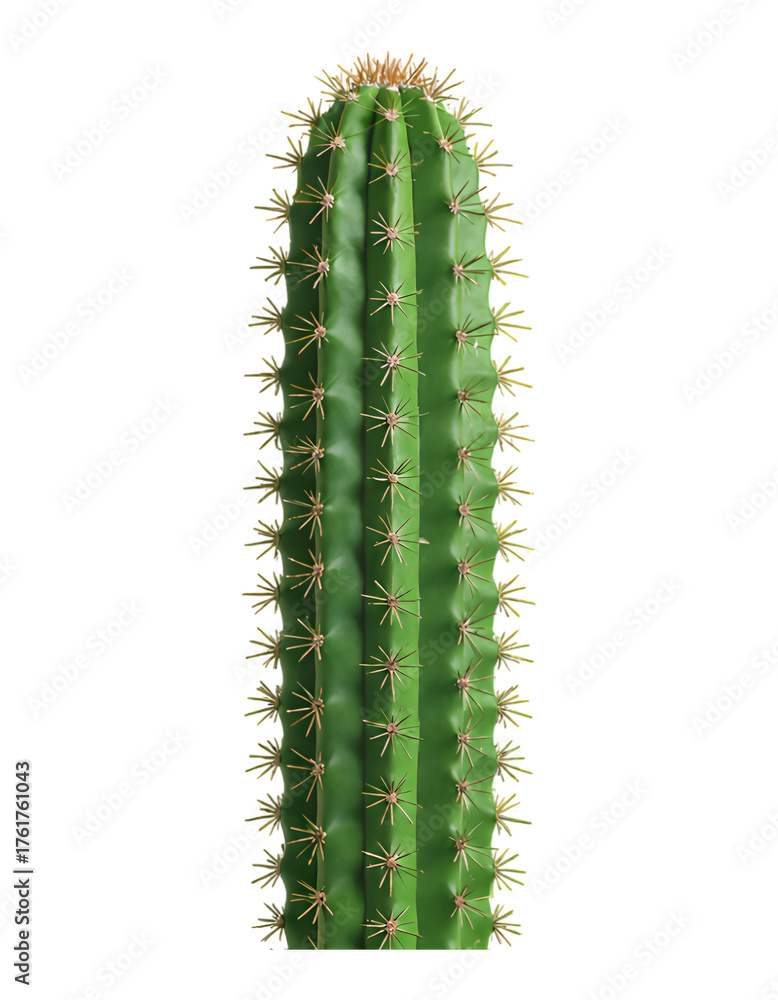 Naklejka premium Bright Green Cactus Spines, Glossy 3D Realism with Transparent Background, Design Element