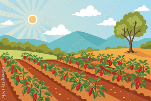Flat, realistic aerial view of meticulously cultivated chili pepper farm rows under a clear sky.