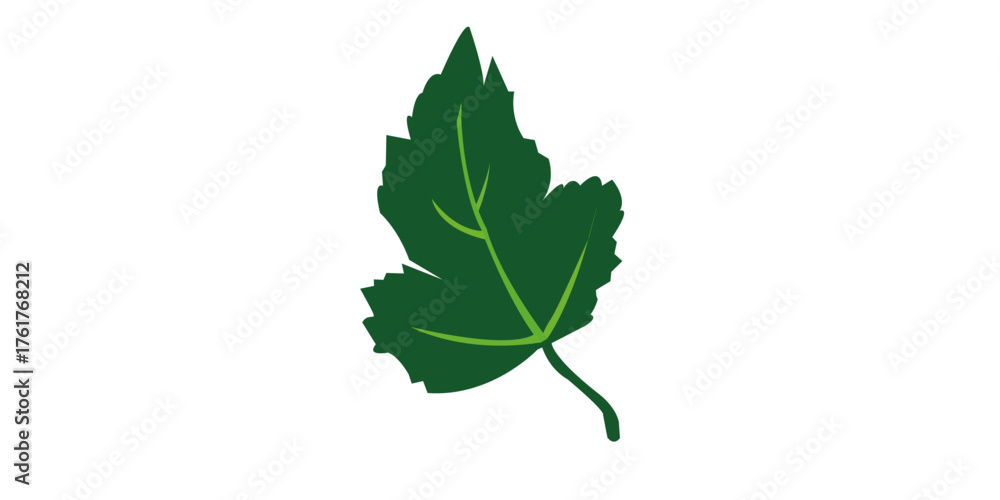 Naklejka premium Isolated green oak leaf or fresh plant branch on a clean white background.