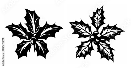 Elegant black and white holly sprigs two decorative christmas ornaments winter holiday nature foliage botanical