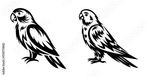 Two black and white sketch style parakeets perched side by side artistic bird imagery