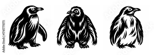Three distinct penguin figures in a stylized sketchy black and white artistic rendering for various design needs