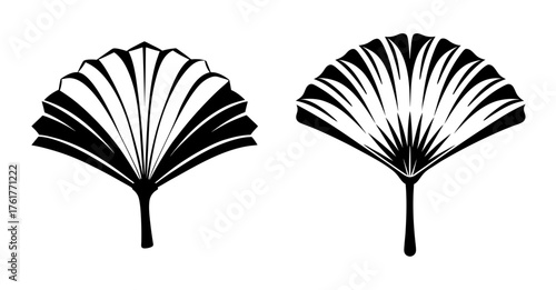 Elegant ginkgo leaf fan designs in black and white for artistic applications and nature art