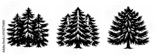 Three detailed black and white pine trees create a natural forest scene perfect for design elements