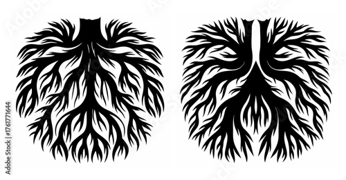 Symmetrical black and white plant roots system abstract design natural growth detailed branching network