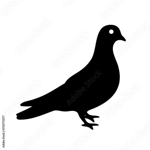 silhouette of pigeon