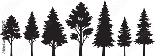 Silhouetted Coniferous Trees A Verdant Forest Vector Illustration