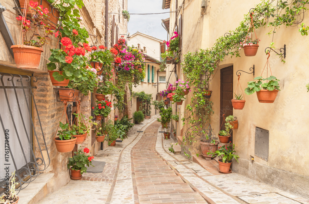 Fototapeta premium Spello - The little aisle with the flowers on the old Town.