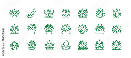 Aloe vera flat line icons. Simple illustrations of a succulent, tropical plant, perfect for organic food and cosmetics.
