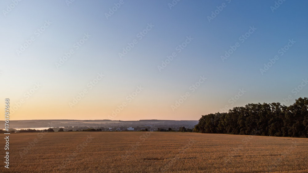 Obraz premium Rural farmland view with wheat field, trees line and clear blue sky